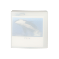 ORCA Wal Anhänger