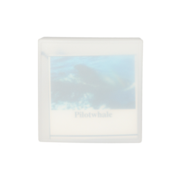 PILOTWAL Anhänger