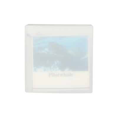 PILOTWAL Anhänger
